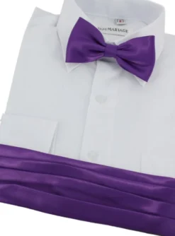Ceinture cortège garçon + noeud papillon