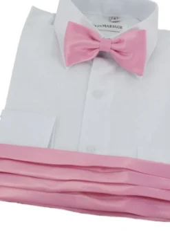 Ceinture cortège garçon + noeud papillon