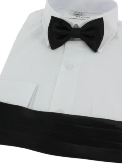 Ceinture cortège garçon + noeud papillon