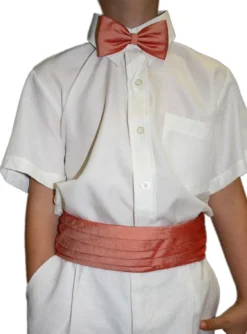 Ceinture de cortège et nœud papillon
