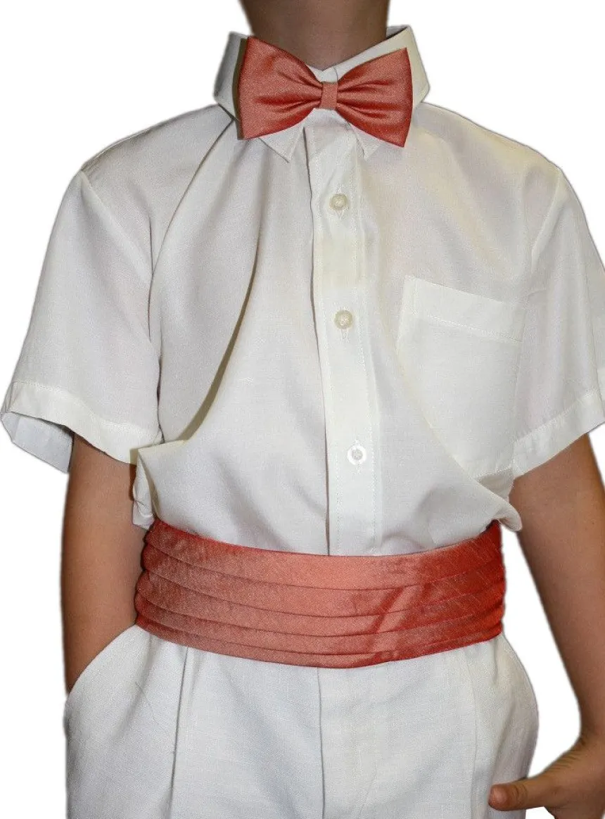 Ceinture de cortège et nœud papillon