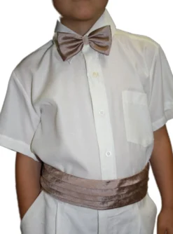 Ceinture de cortège et nœud papillon
