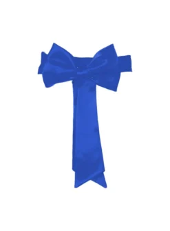 Ceinture de cortège fille avec noeud