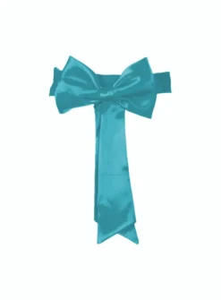 Ceinture de cortège fille avec noeud