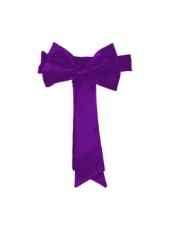 Ceinture de cortège fille avec noeud