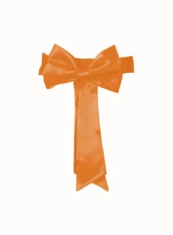 Ceinture de cortège fille avec noeud
