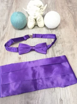 Ceinture de cortège garçon + noeud papillon Violet