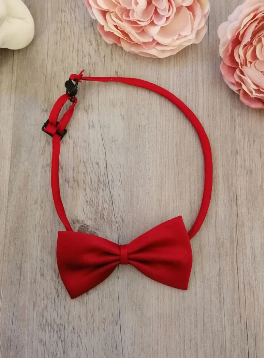 Noeud papillon enfant ou bébé classic