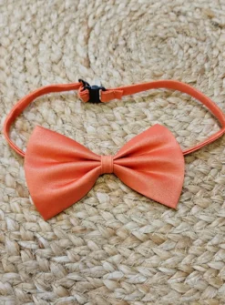 Noeud papillon enfant ou bébé classic