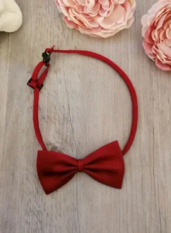 Noeud papillon enfant ou bébé classic