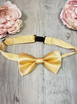 Noeud papillon satin pour enfant