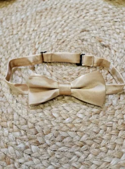 Noeud papillon satin pour enfant