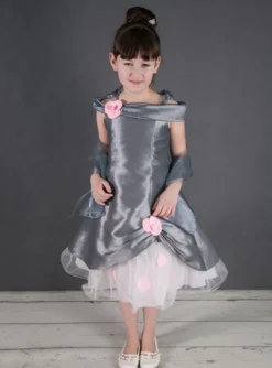 Robe cérémonie fille Pétale grise