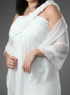 Robe de soirée grande taille Mérédith