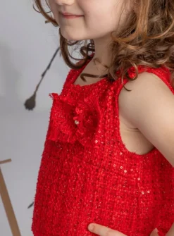 Robe de soirée ou pour Noël Fille