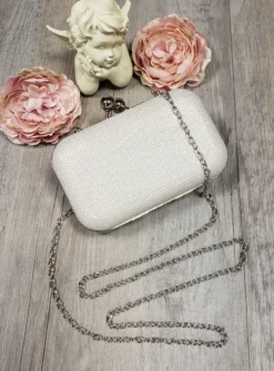 Sac de soirée minaudière