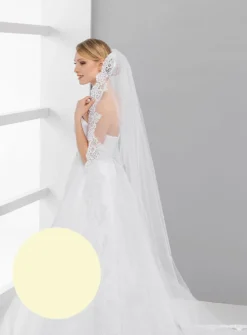 Voile de mariée dentelle large